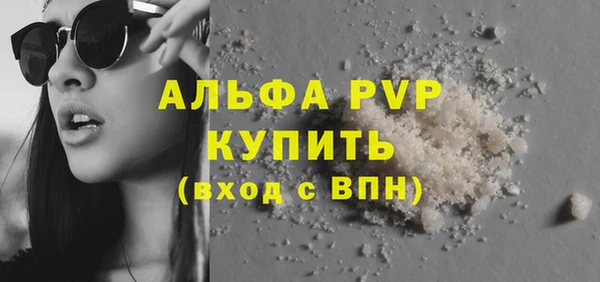 индика Богданович